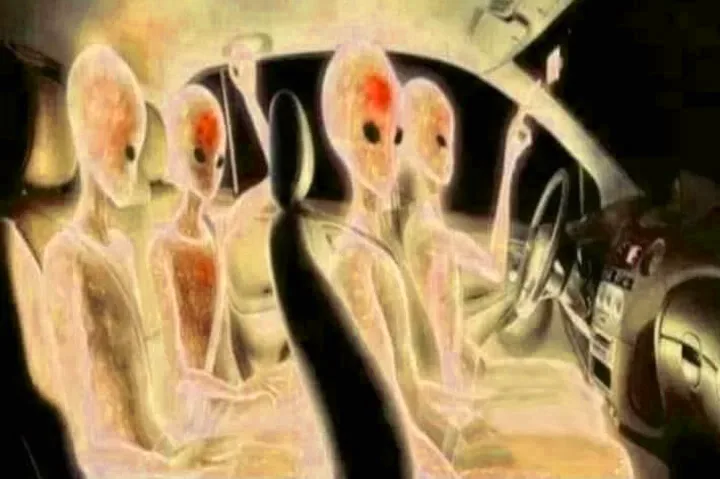 Quarkis Authentication and Registration Services